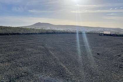 Plot for sale in Teguise, Lanzarote. 
