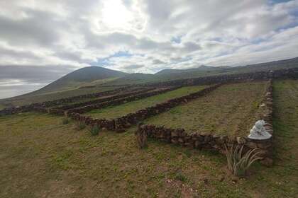 Terreno vendita in Tahiche, Teguise, Lanzarote. 