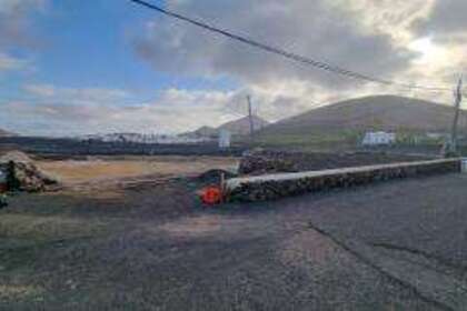 Percelen/boerderijen verkoop in Tinajo, Lanzarote. 