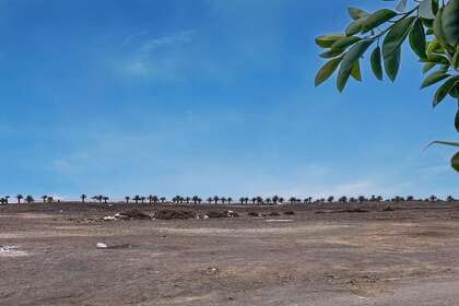 Участок Продажа в Arrecife, Lanzarote. 