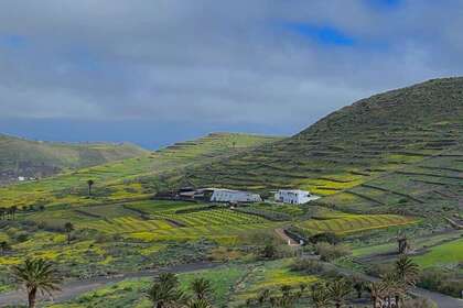 Parcela/Finca venta en Haría, Lanzarote. 