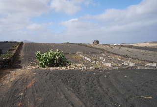 Landbouwgrond verkoop in Tinajo, Lanzarote. 