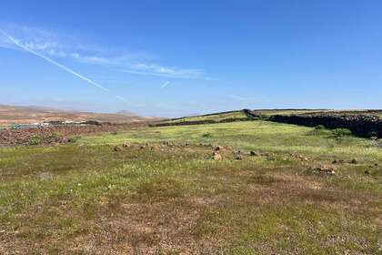 Stedelijke terreinen verkoop in Tahiche, Teguise, Lanzarote. 