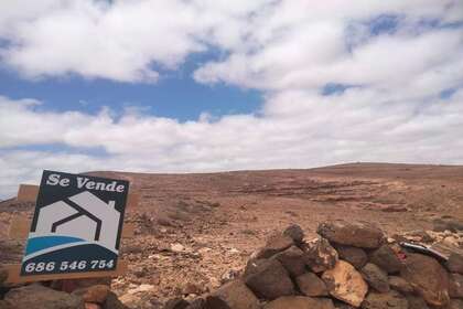 Percelen/boerderijen verkoop in Puerto del Rosario, Las Palmas, Fuerteventura. 