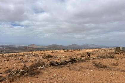 Landdistrikter / landbrugsjord til salg i La Villa, Teguise, Lanzarote. 