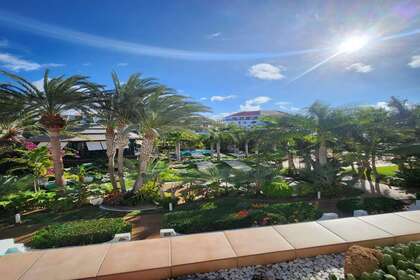 Estudio venta en Playa de Las Americas, Arona, Santa Cruz de Tenerife, Tenerife. 