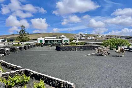 Chalet vendre en Mozaga, Teguise, Lanzarote. 