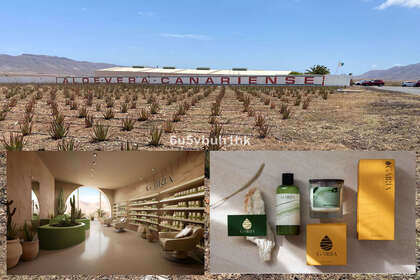Участок Продажа в Antigua, Las Palmas, Fuerteventura. 