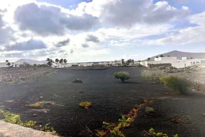 Участок Продажа в Tajaste, Tinajo, Lanzarote. 