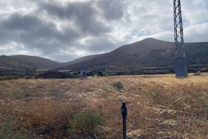 Grundstück/Finca zu verkaufen in Máguez, Haría, Lanzarote. 