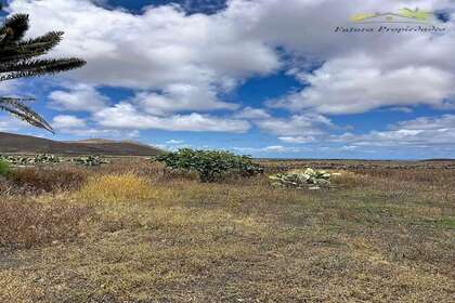 Terreno vendita in La Vegueta, Tinajo, Lanzarote. 