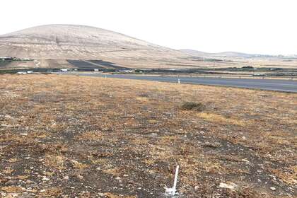 Terreni agricoli vendita in Montaña Blanca, San Bartolomé, Lanzarote. 