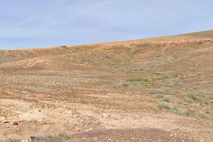 Plot for sale in Tuineje, Las Palmas, Fuerteventura. 