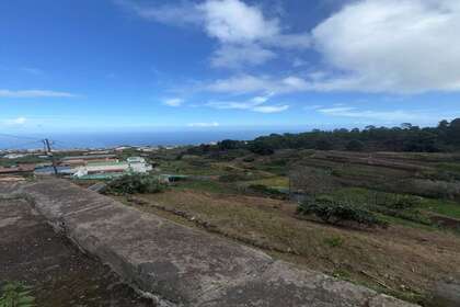 surroundings