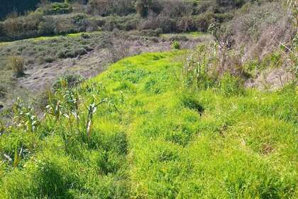 Country house for sale in Zumacal, Valleseco, Las Palmas, Gran Canaria. 