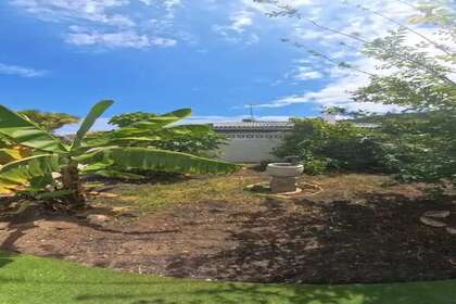Chalet for sale in Sauzal, El, Santa Cruz de Tenerife, Tenerife. 