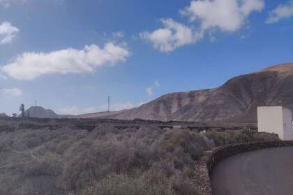 Plot for sale in Mala, Haría, Lanzarote. 